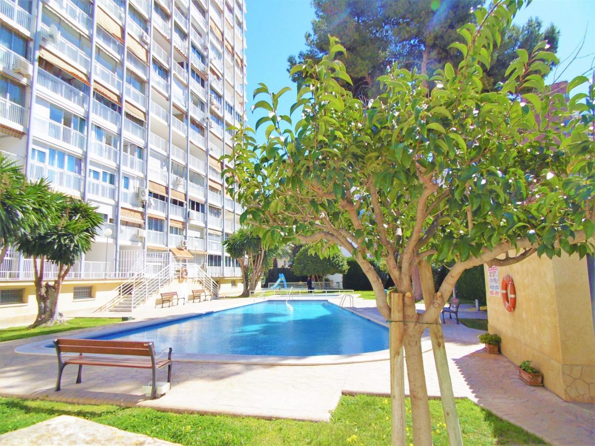 Albatros 13-1 Apartment Бенидорм Екстериор снимка